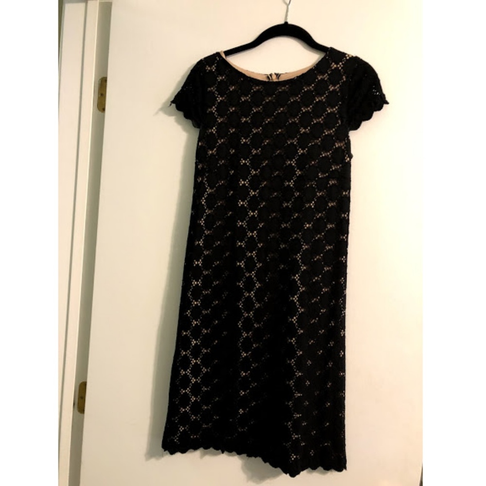 Black and Tan Teacup Sleeve Lace Dress